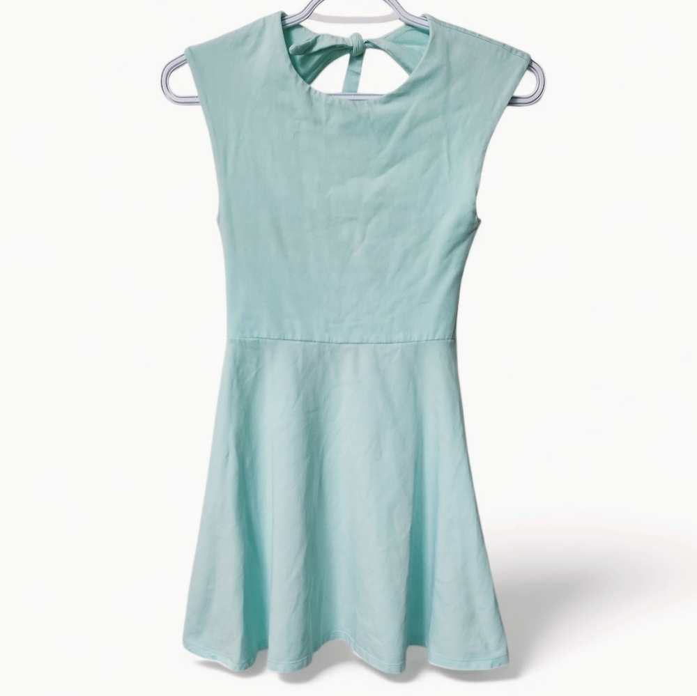 Aritzia Talula Cutout Back Palmetto Skater Mini Dress